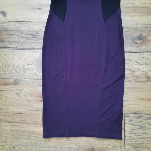Miik Sleeveless Fitted Dress - Picture 3 of 16